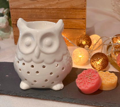 Brûleur pour Fondants Parfumés – Multi-Modèles Décoratifs | Accessoire Brûle-Parfum